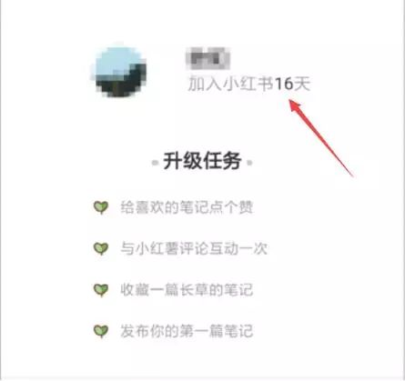 小红书如何运营(小红书运营技巧及实操)