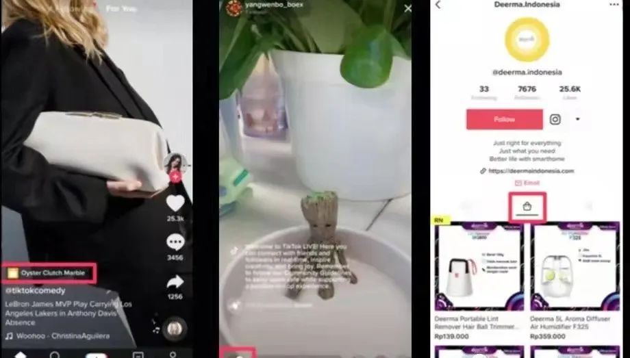 TikTok短视频出海：探索海外增长新玩法！