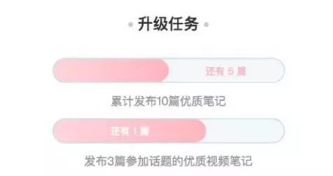 小红书如何运营(小红书运营技巧及实操)