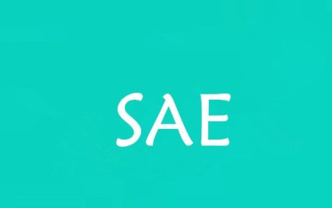 SAE是什么意思？