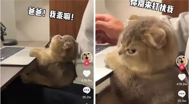 TikTok作品上热门的八大技巧！