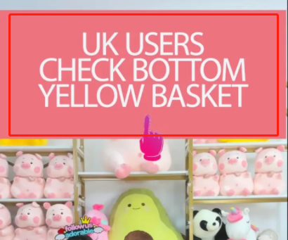 重磅丨TikTok小店如何获取OBS权限？（附OBS使用说明）