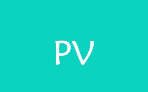 PV是什么意思？