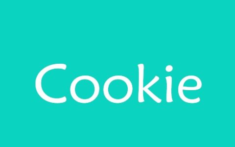 Cookie是什么意思？