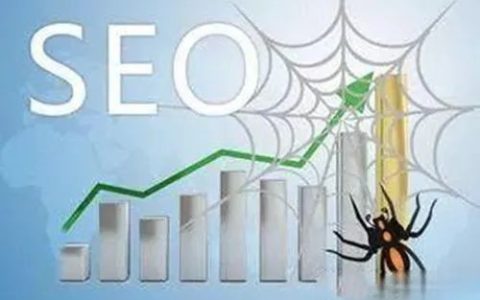 什么是蜘蛛池? 蜘蛛池对SEO有什么影响?