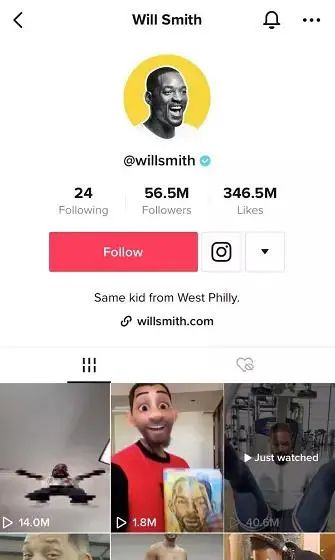 TikTok教程丨账号类型介绍（二）