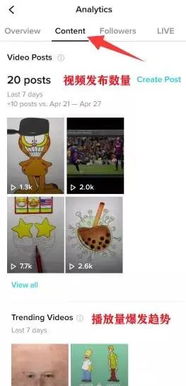 TikTok教程丨账号数据分析