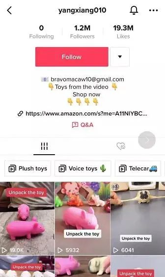 TikTok教程丨账号类型介绍（二）