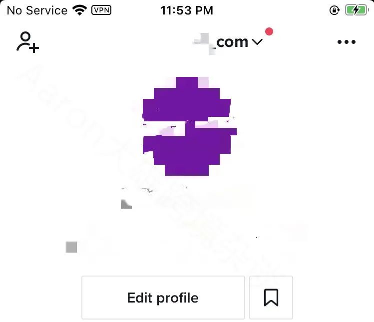 TikTok跨境电商怎么做？TikTok引流Shopfiy独立站方法