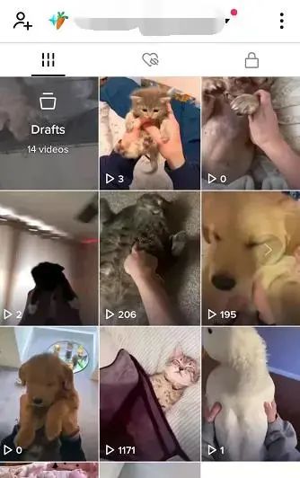 TikTok教程丨答疑篇(3)——视频低播放量