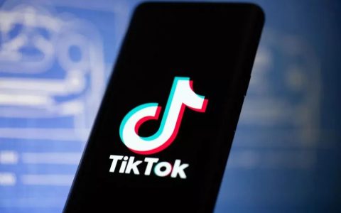 TikTok Ads是什么？TikTok广告类型(二)