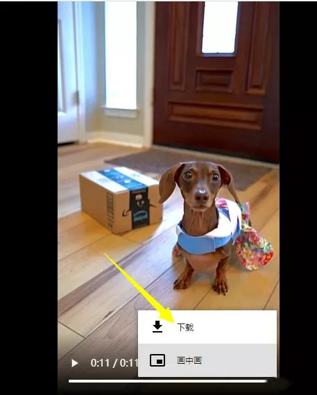 TikTok工具推荐:TikTok视频无水印下载工具