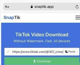 TikTok工具推荐:TikTok视频无水印下载工具