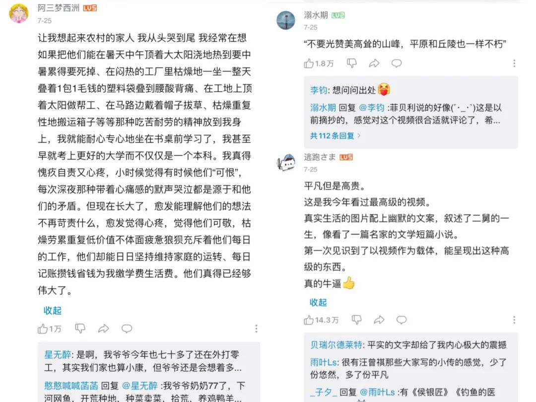 《回村三天，二舅治好了我的精神内耗》为什么全网刷屏