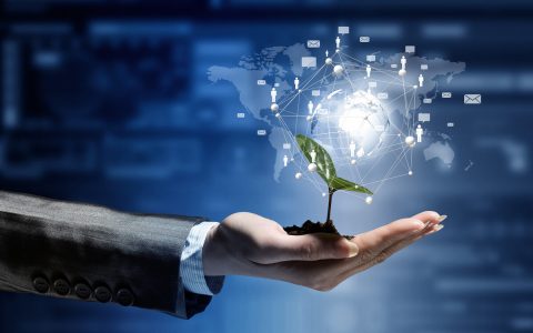 亚马逊卖家开店必知的关键词基本知识