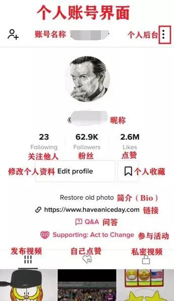 TikTok教程丨账号界面介绍