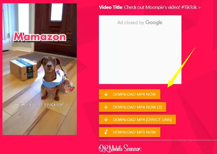 TikTok工具推荐:TikTok视频无水印下载工具