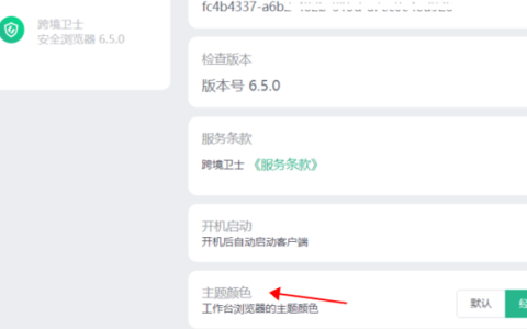 跨境卫士安全浏览器主题颜色(皮肤)如何更换