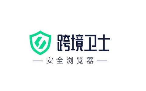 跨境卫士安全浏览器如何选择VD(跨境卫士使用方法)
