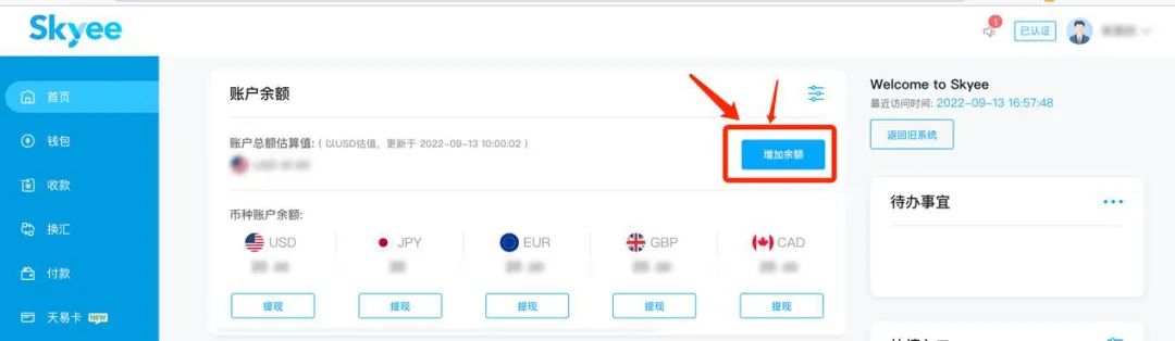 Skyee天易CPC卡 — 充值入金篇