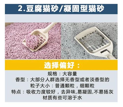 酷澎第四季度选品指南出炉，带你精准预测爆款趋势！