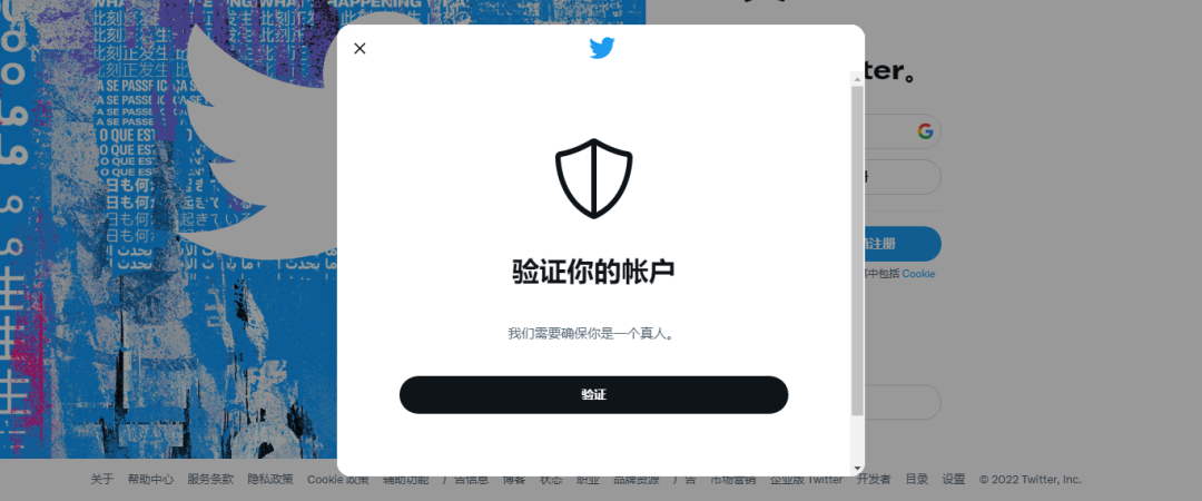 推特注册不了?(2022最新Twitter推特注册教程)