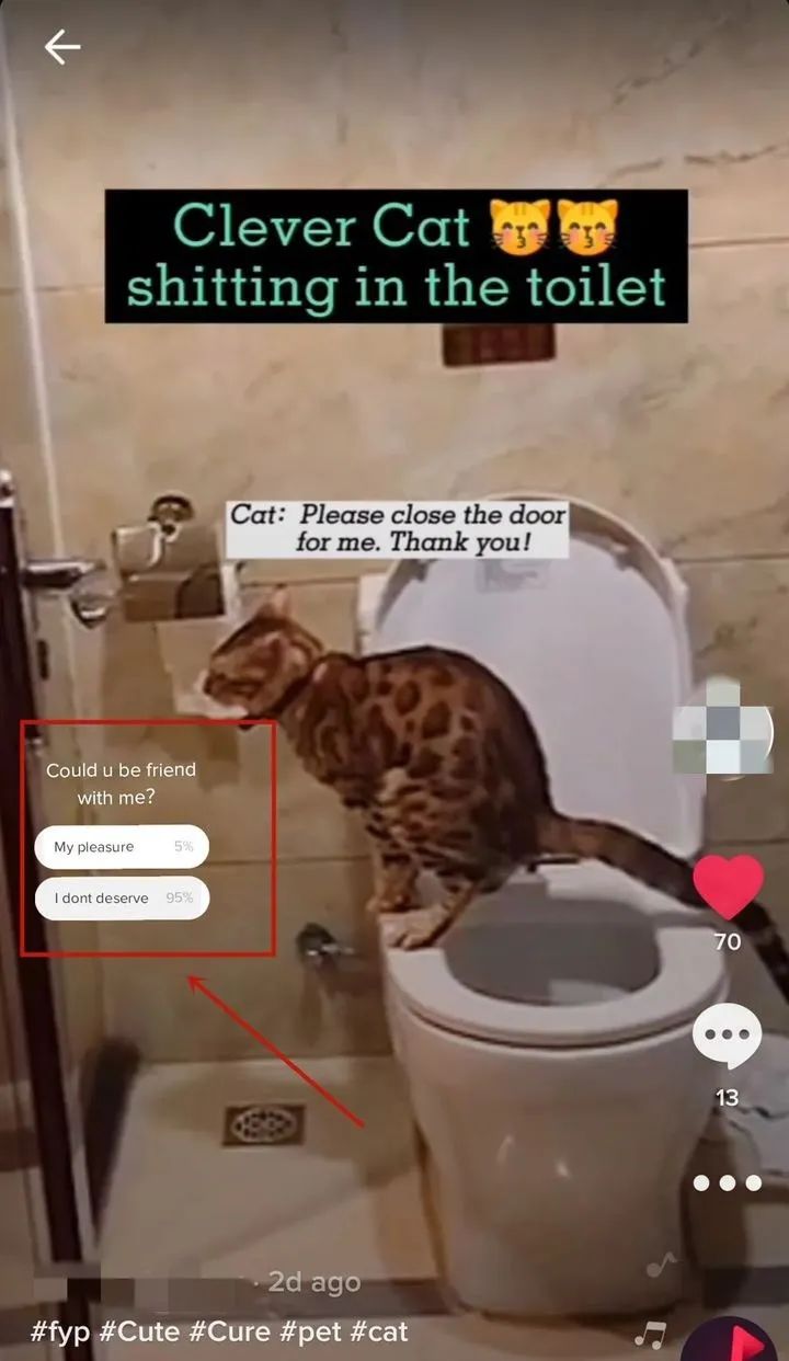 国内怎么注册TikTok(苹果手机注册TikTok图文教程)