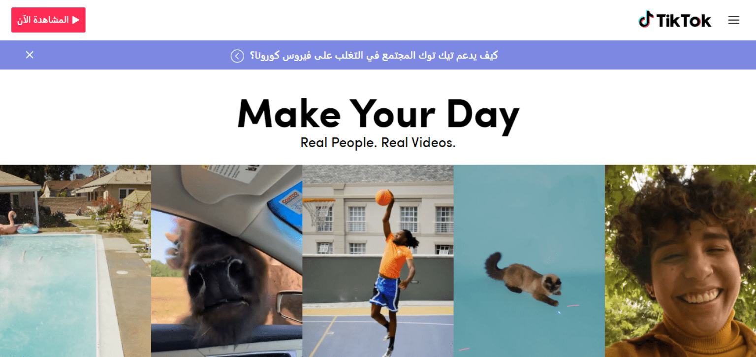 TikTok网页版登录入口,TikTok网页版在线观看方法