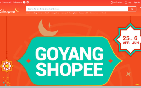 东南亚跨境电商平台有哪些(TOP15跨境电商排名)