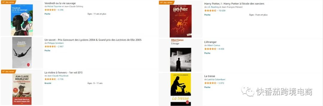 亚马逊法国站店铺推荐亚马逊法国站TOP10卖家