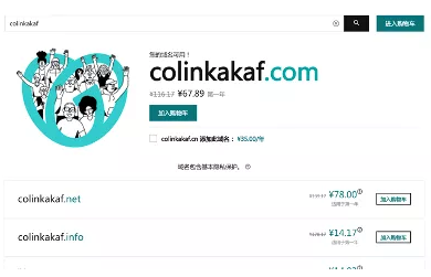 独立站域名怎么购买(手把手教你如何购买域名)