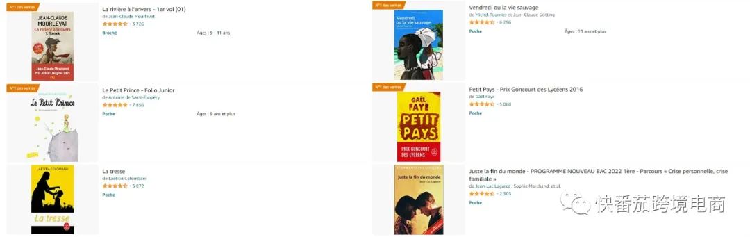 亚马逊法国站店铺推荐亚马逊法国站TOP10卖家