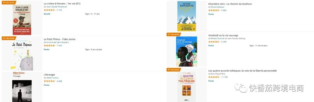亚马逊法国站店铺推荐亚马逊法国站TOP10卖家