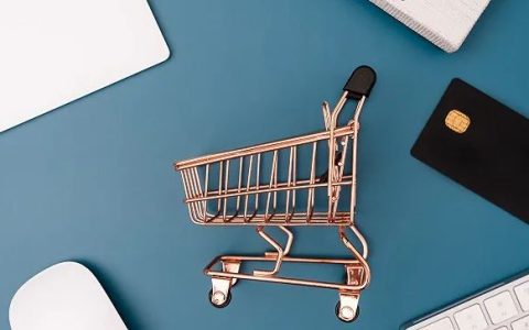 Gopay支付平台是做什么的?可靠吗