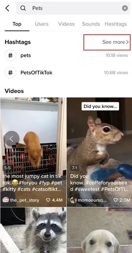 TikTok怎么养号?TikTok养号经验技巧分享