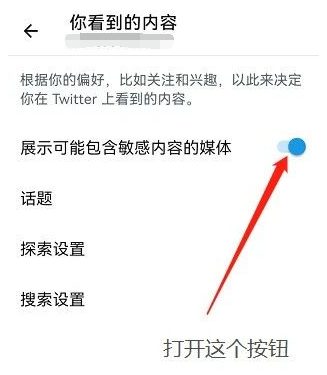 推特Twitter怎么解除敏感内容(手机图文操作教程)