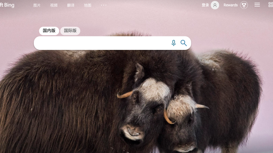 Google搜索引擎入口(2022国内搜索引擎排行榜)