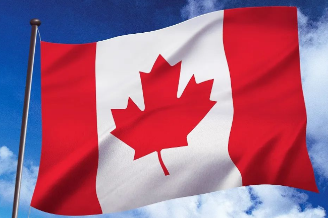 加拿大公司注册条件及流程(如何在加拿大开公司)