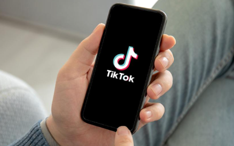 TikTok跨境电商平台(入驻开店流程及费用)