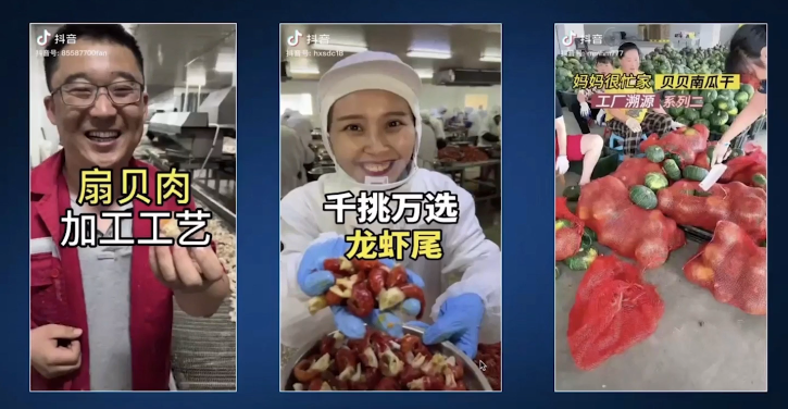 抖音视频怎么拍效果好(抖音短视频拍摄技巧方法)