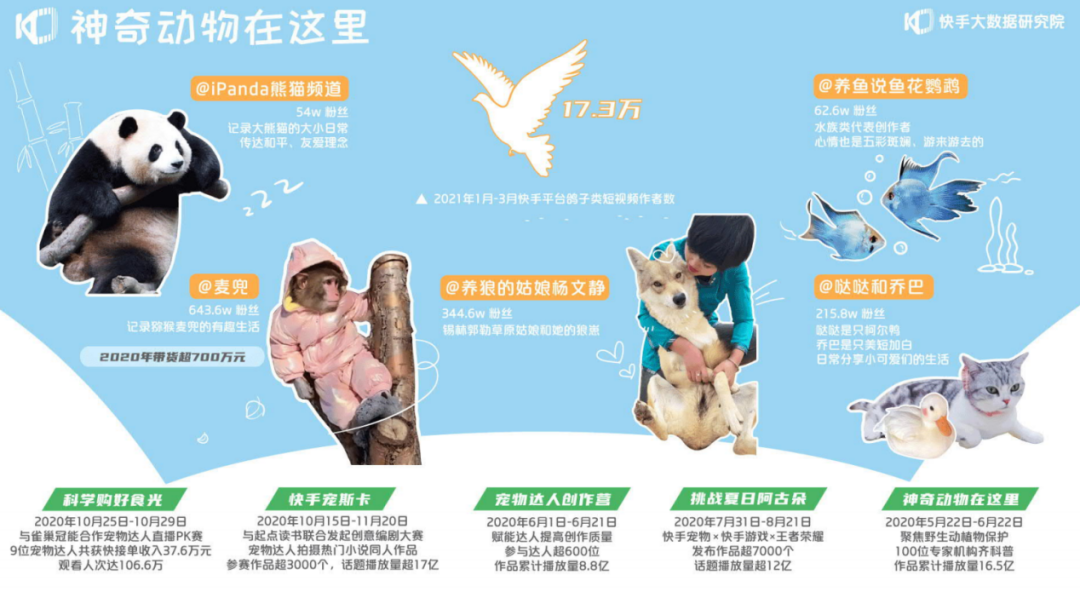 容易涨粉的短视频(快手容易上热门的短视频类型)