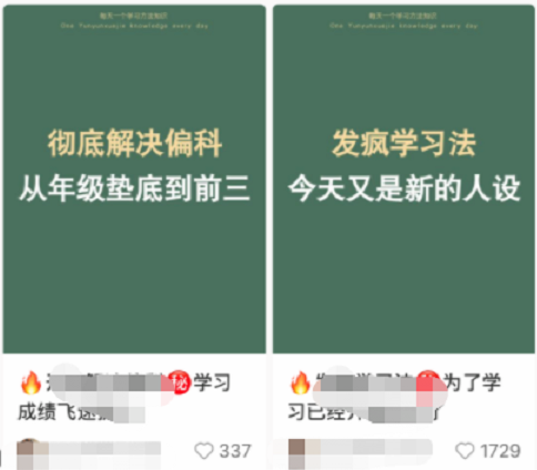 小红书如何快速涨粉(小红书涨粉方法实操攻略)