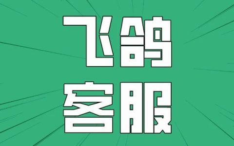 抖音小店飞鸽系统怎么使用(抖店飞鸽系统怎么操作)