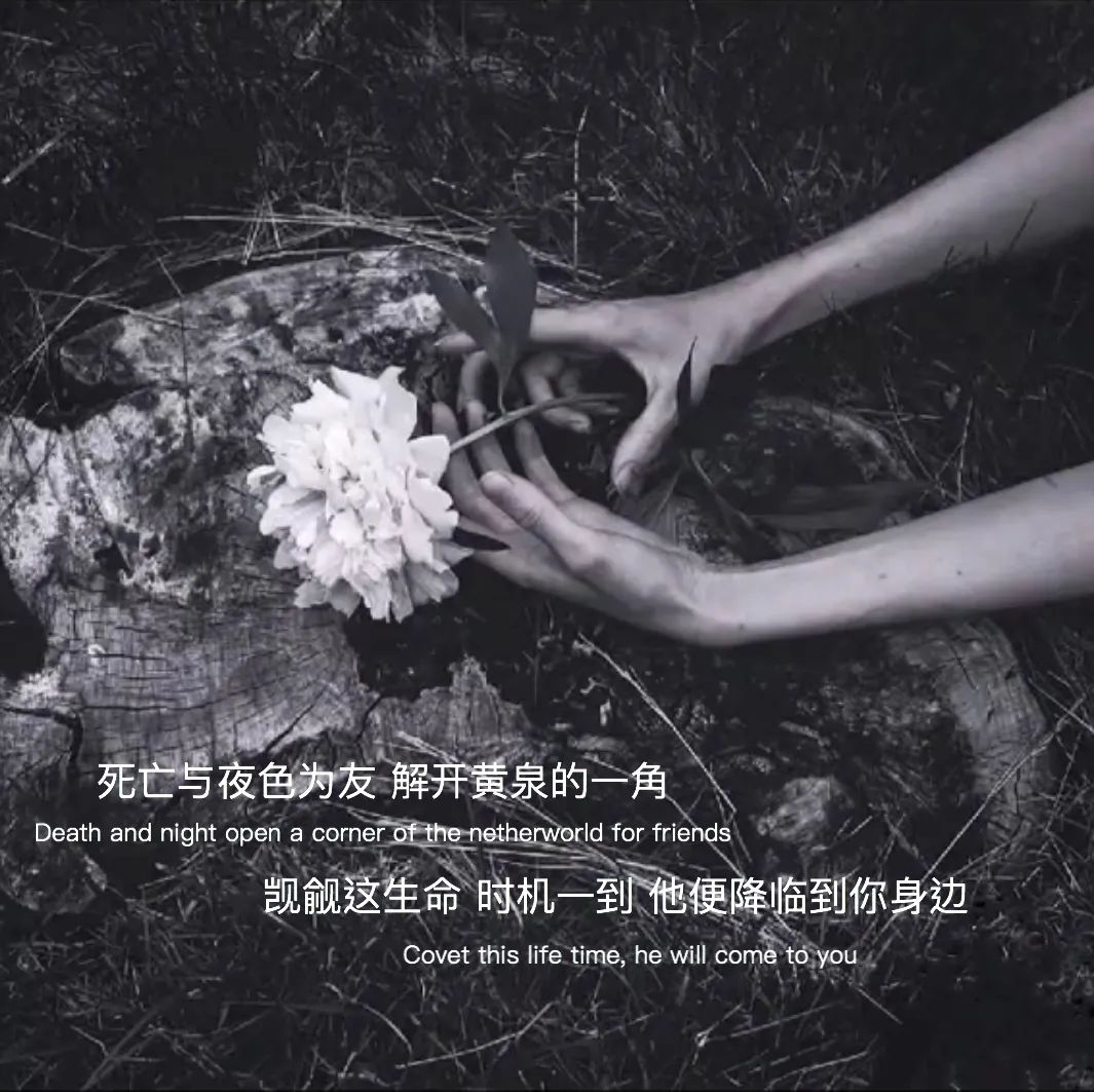 抖音热门背景图片(抖音背景图2023新款图片)