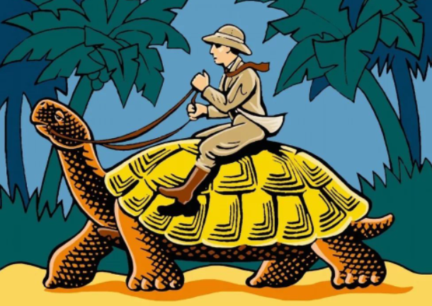 家庭养乌龟怎么养(家庭养乌龟禁忌养龟穷三代)