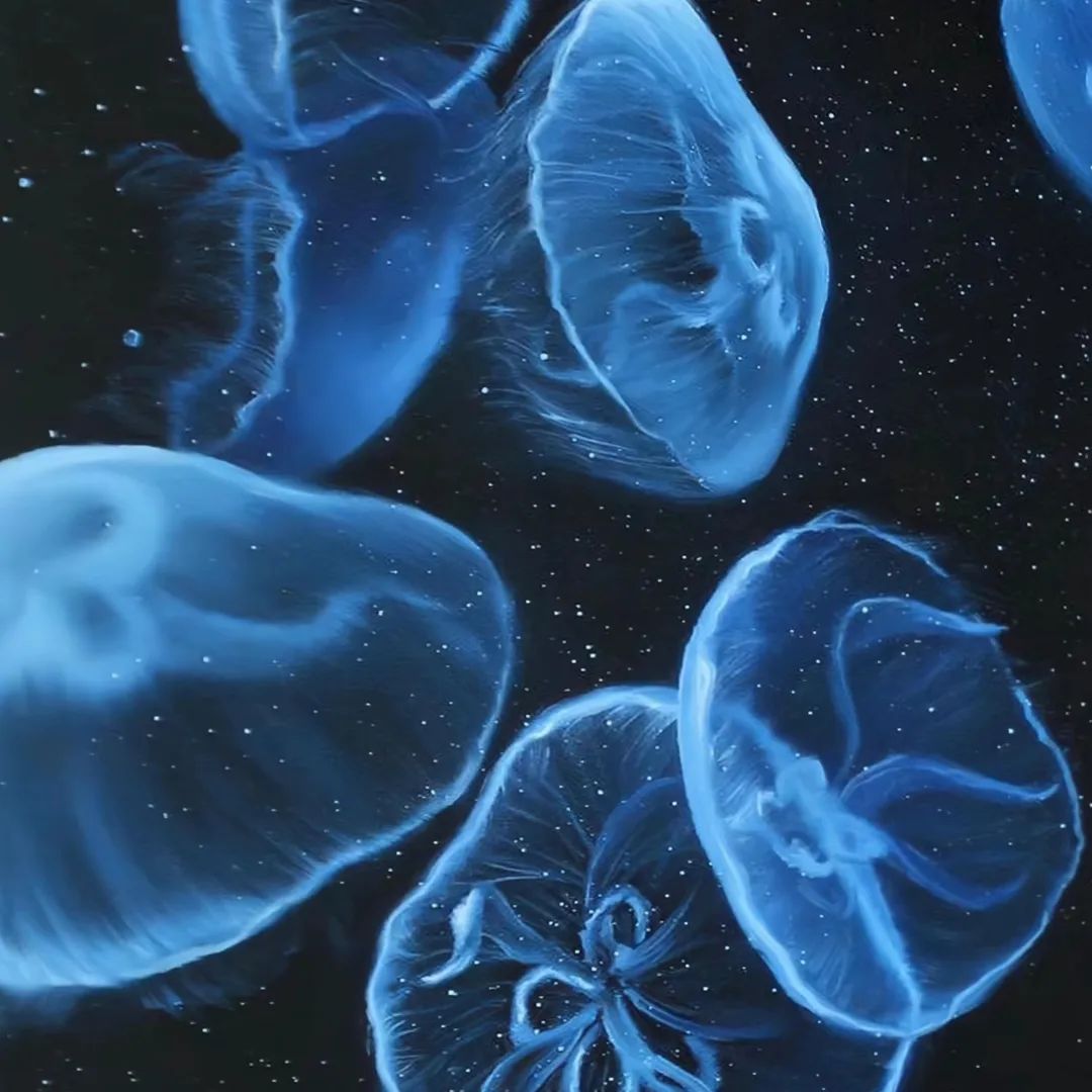 抖音背景图2023新款图片(抖音吸引粉丝的背景图片)