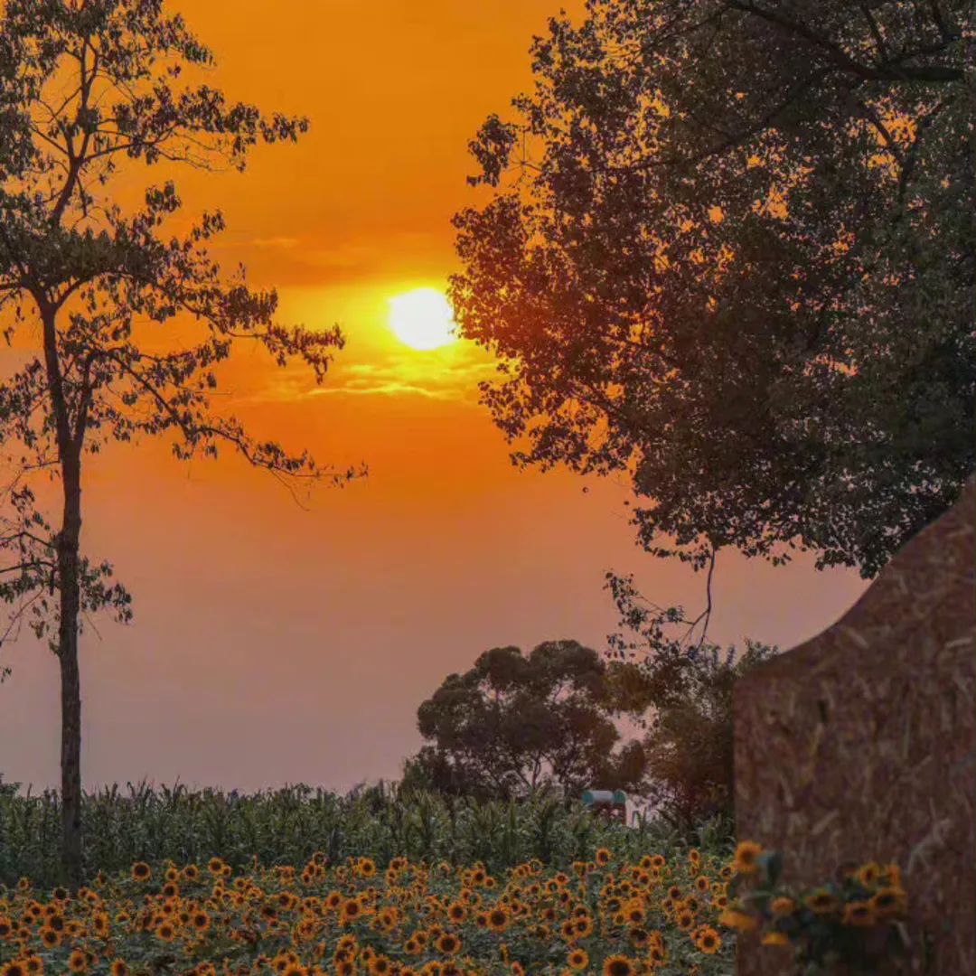 抖音背景图2023新款图片(抖音吸引粉丝的背景图片)