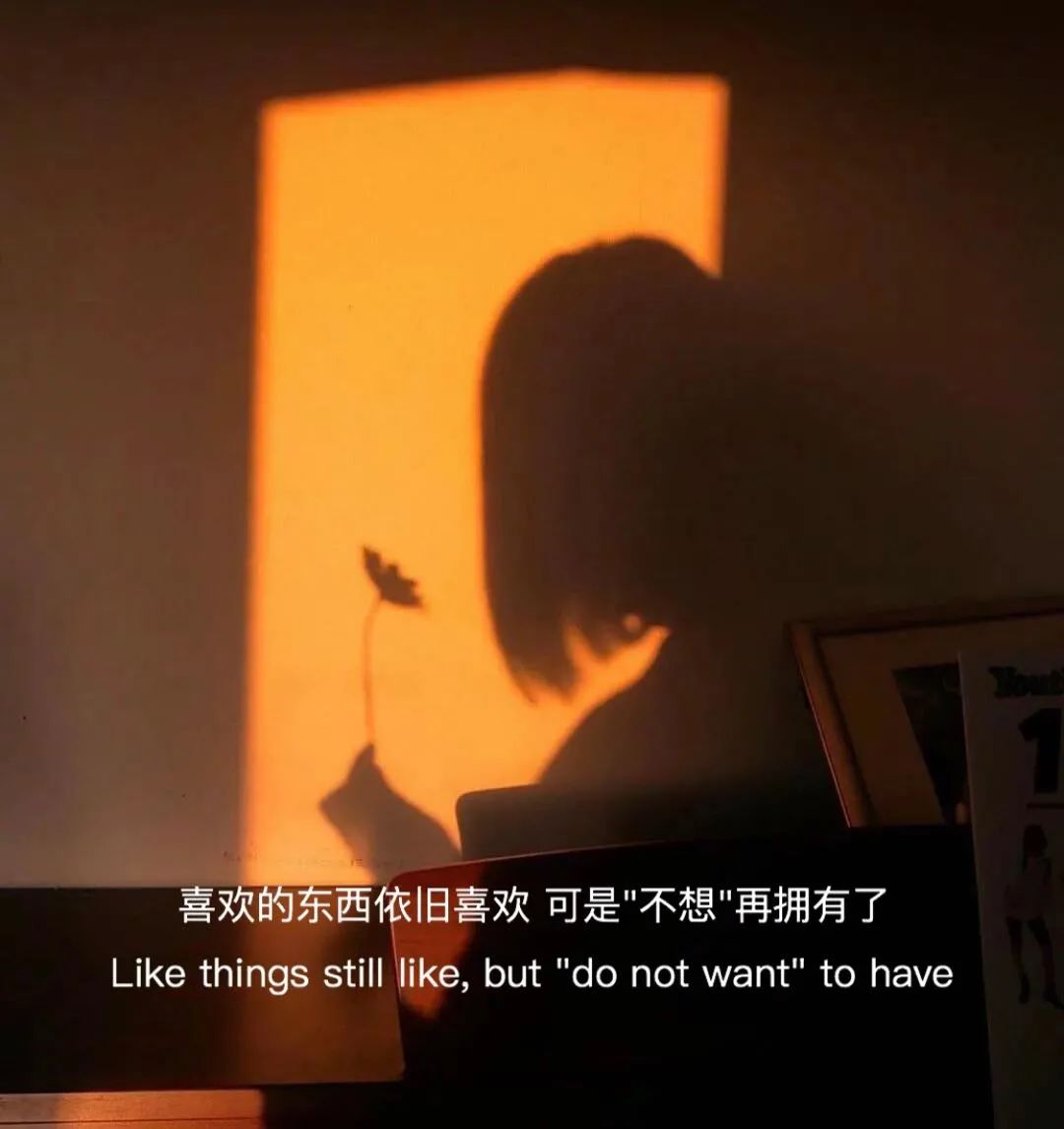 抖音热门背景图片(抖音背景图2023新款图片)