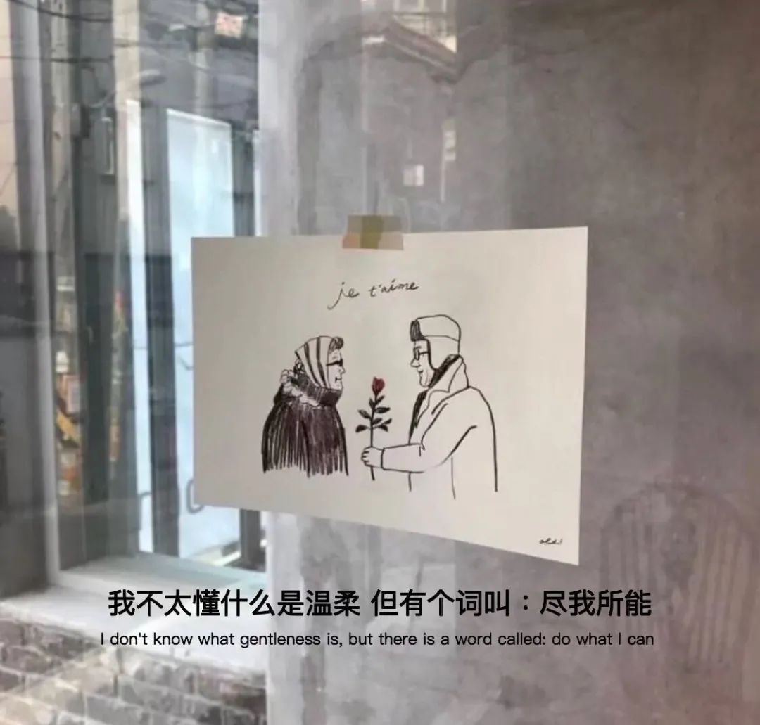 抖音热门背景图片(抖音背景图2023新款图片)