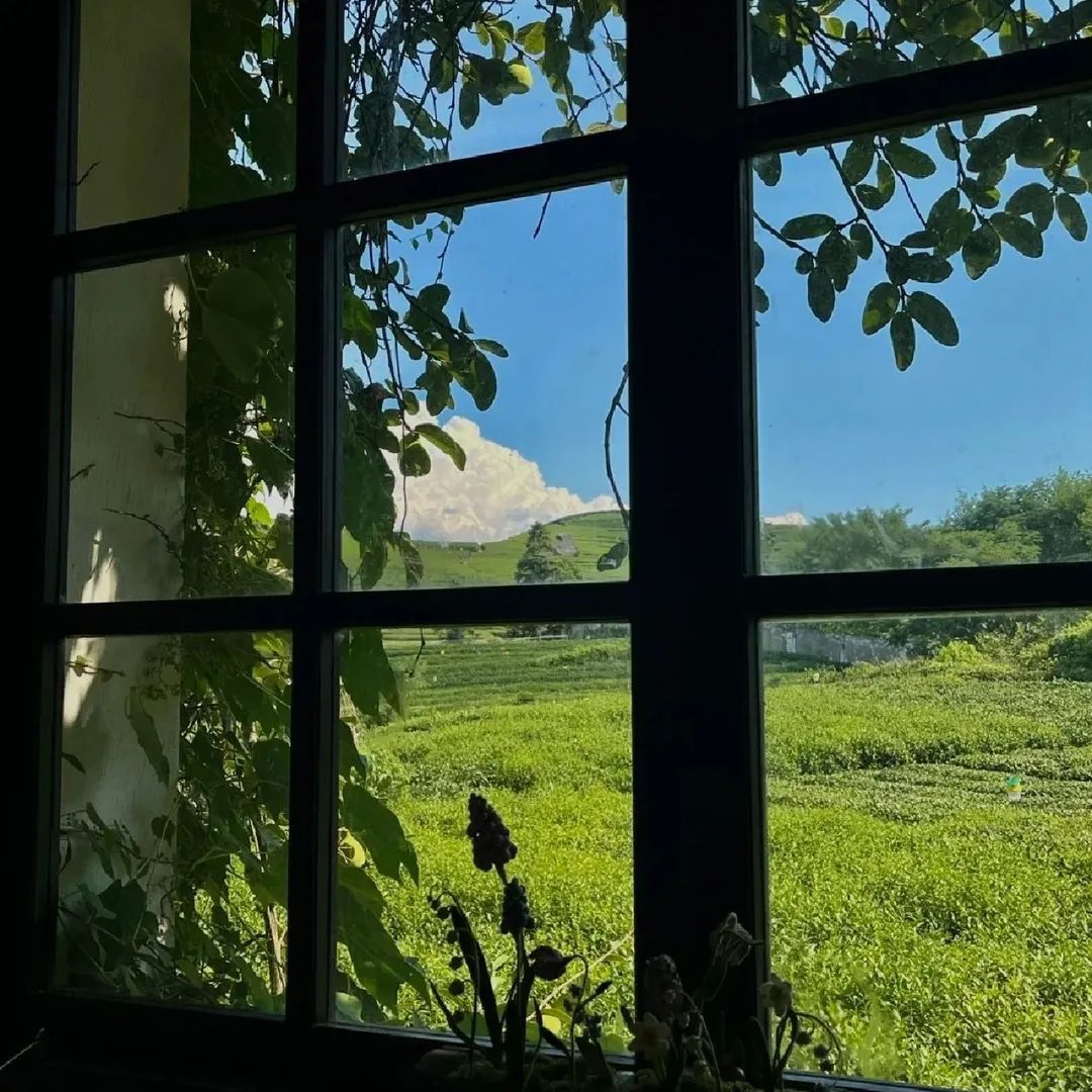 抖音背景图2023新款图片(抖音吸引粉丝的背景图片)